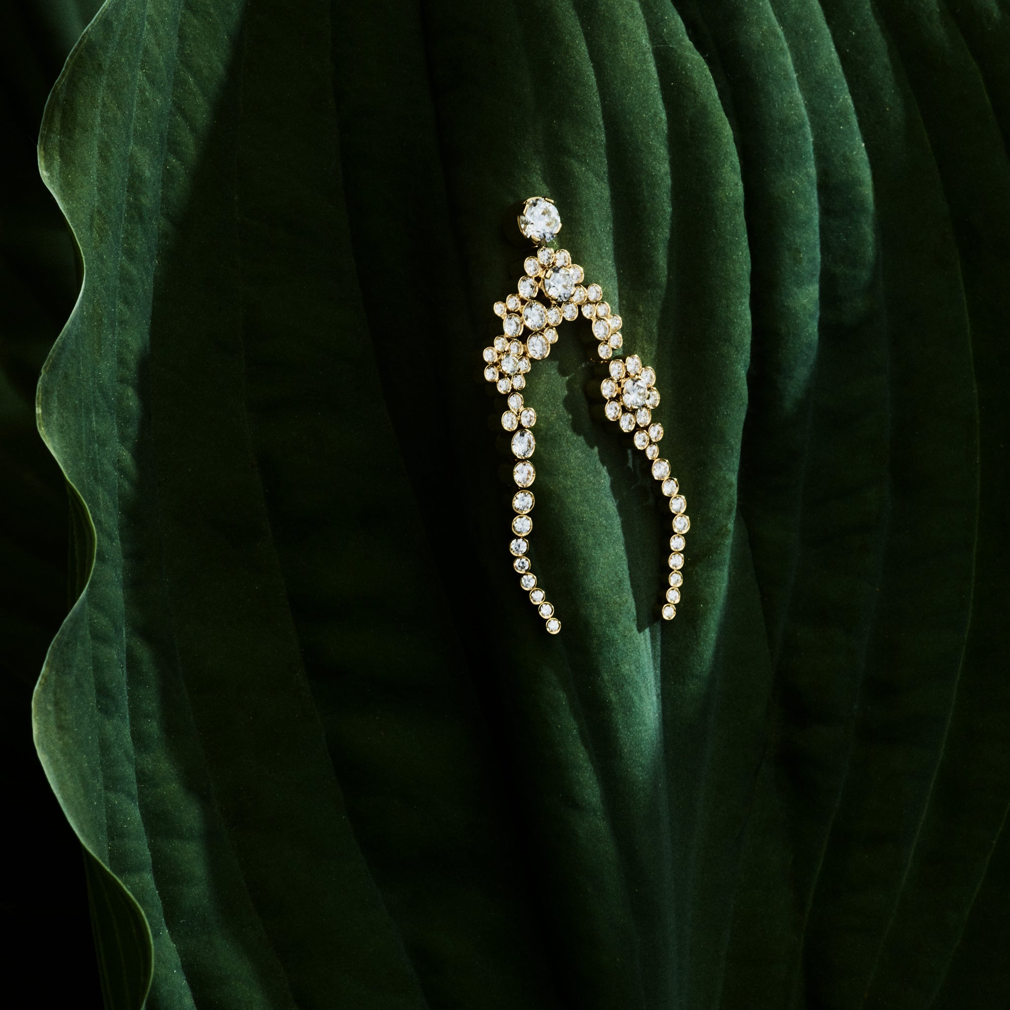 Picture showing Fontaine diamond earring placed on a green leaf