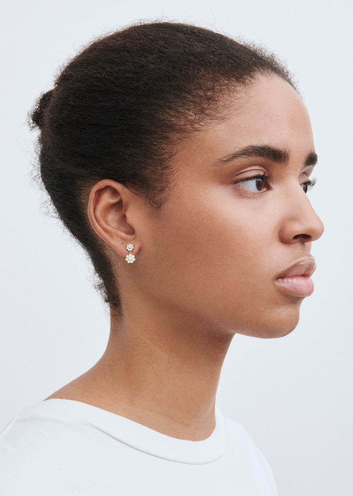 Bellis Deux