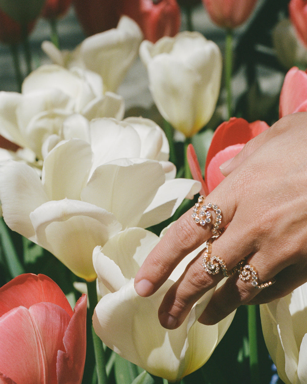 Coco Baudelle wearing diamond rings.