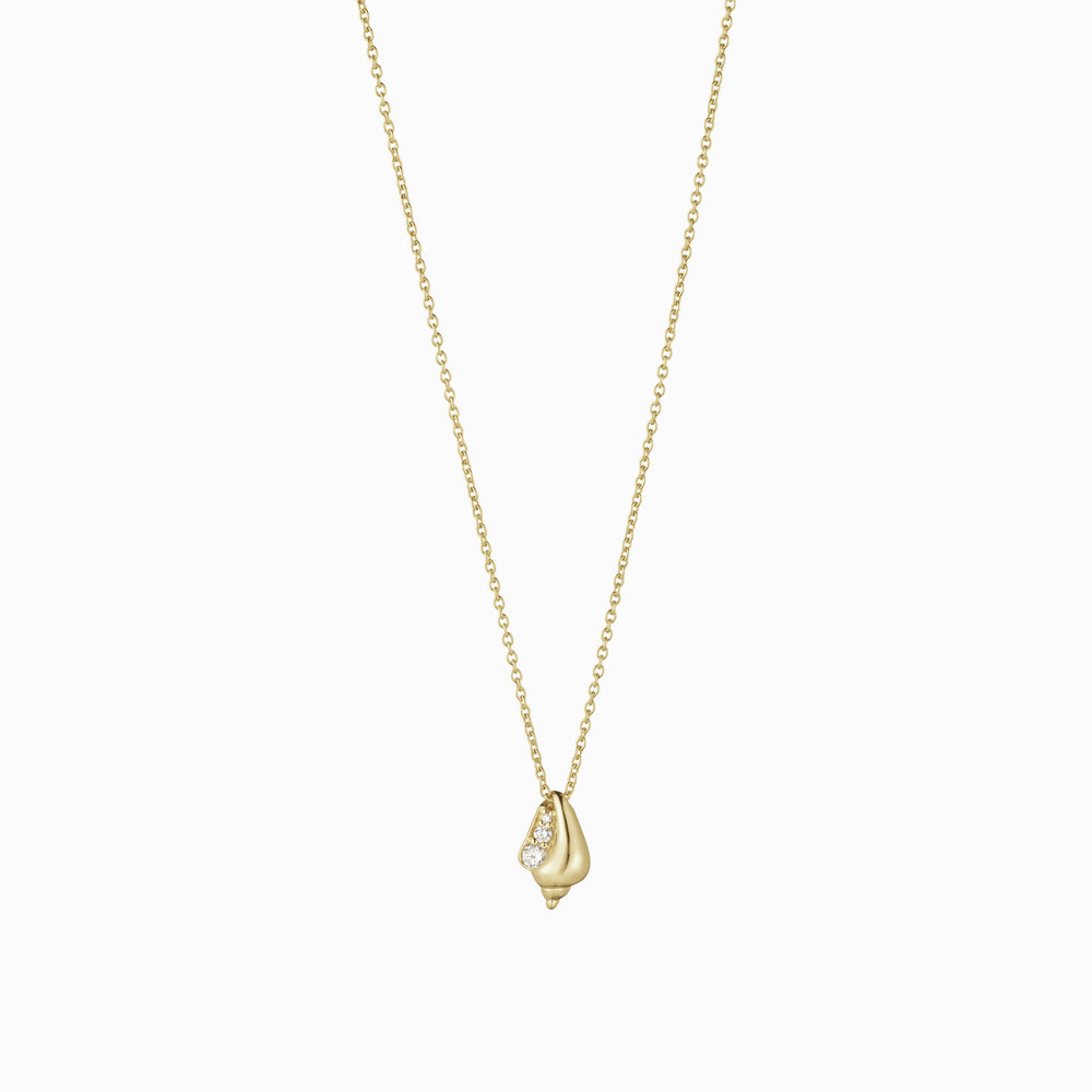 Conque D'or Diamant