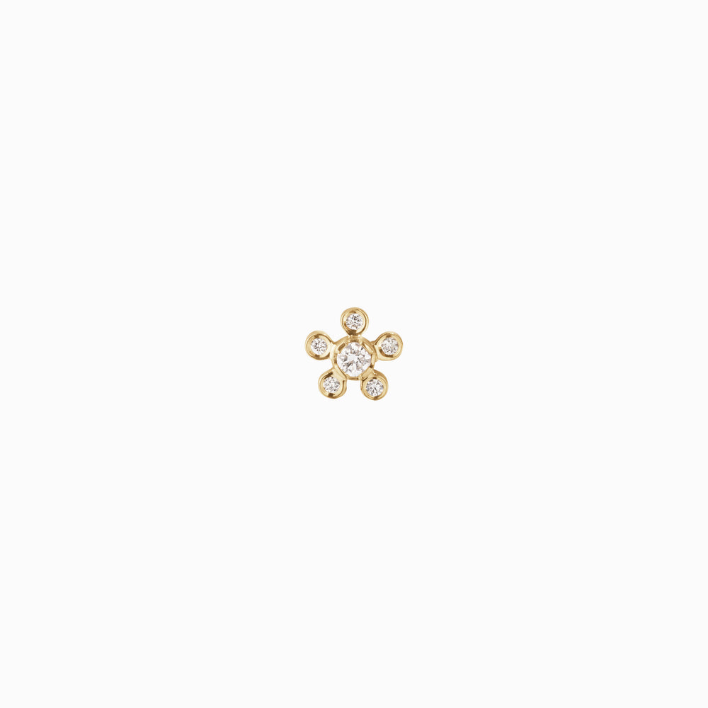 Petit Soleil de Fleur